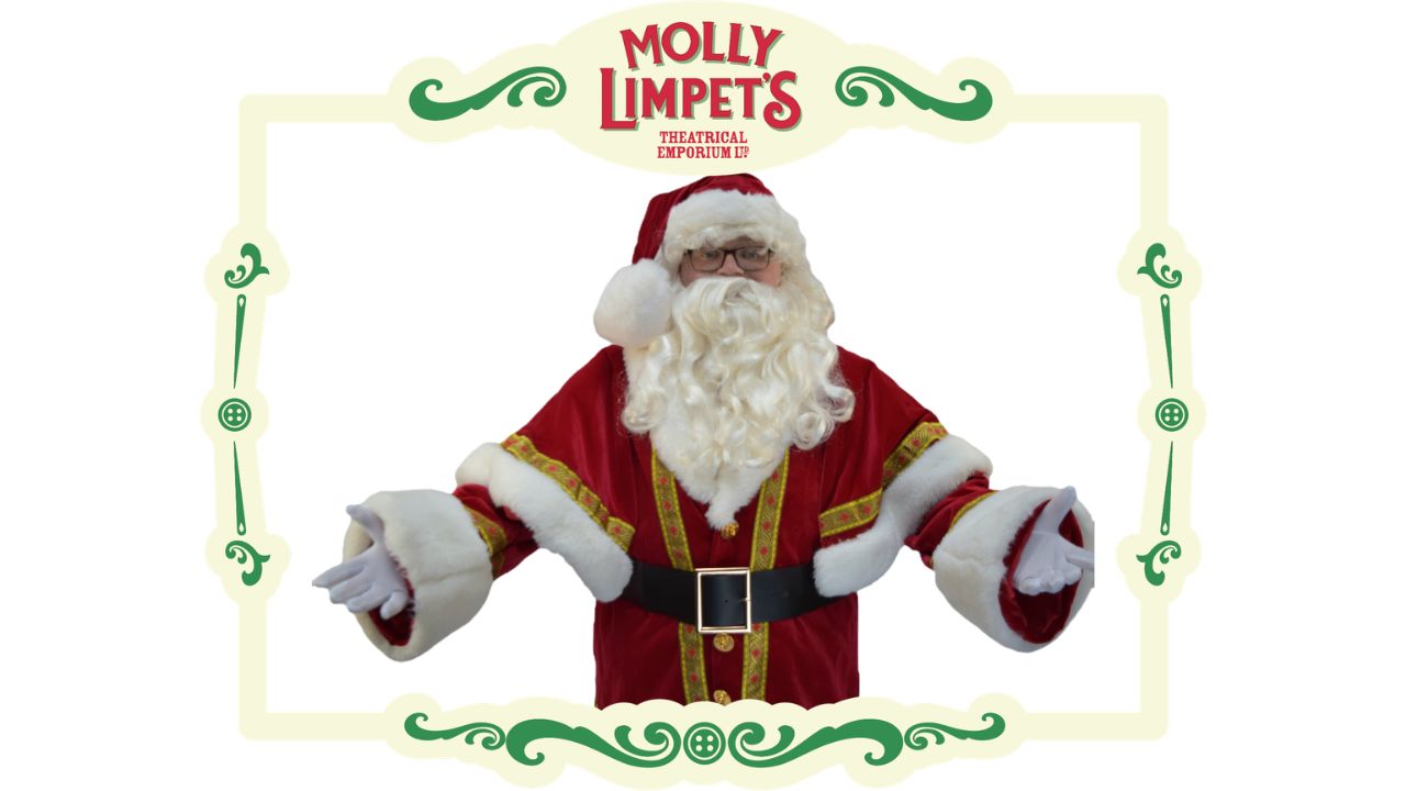 deluxe christmas costume hire