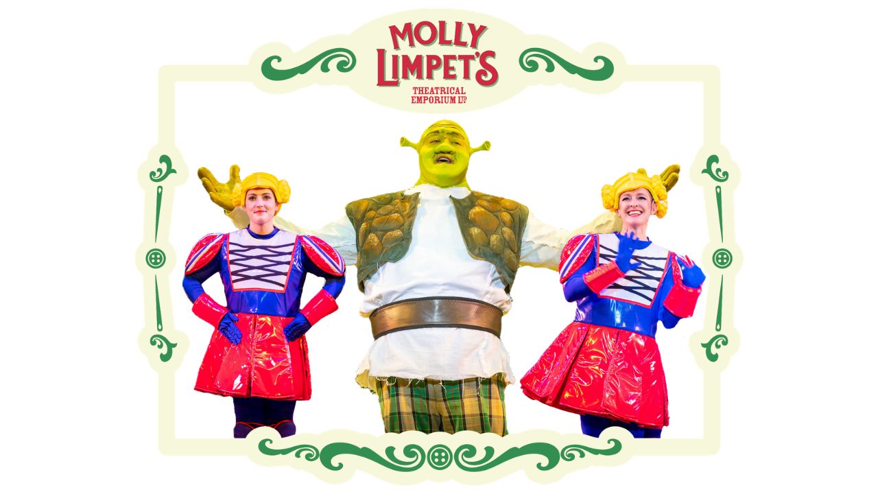 shrek the ogre costumes for hire