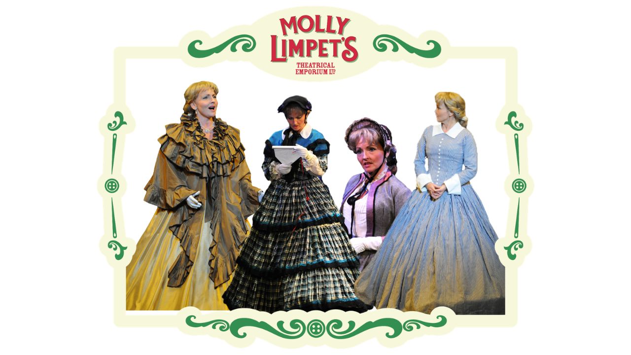 miss anna costume rentals