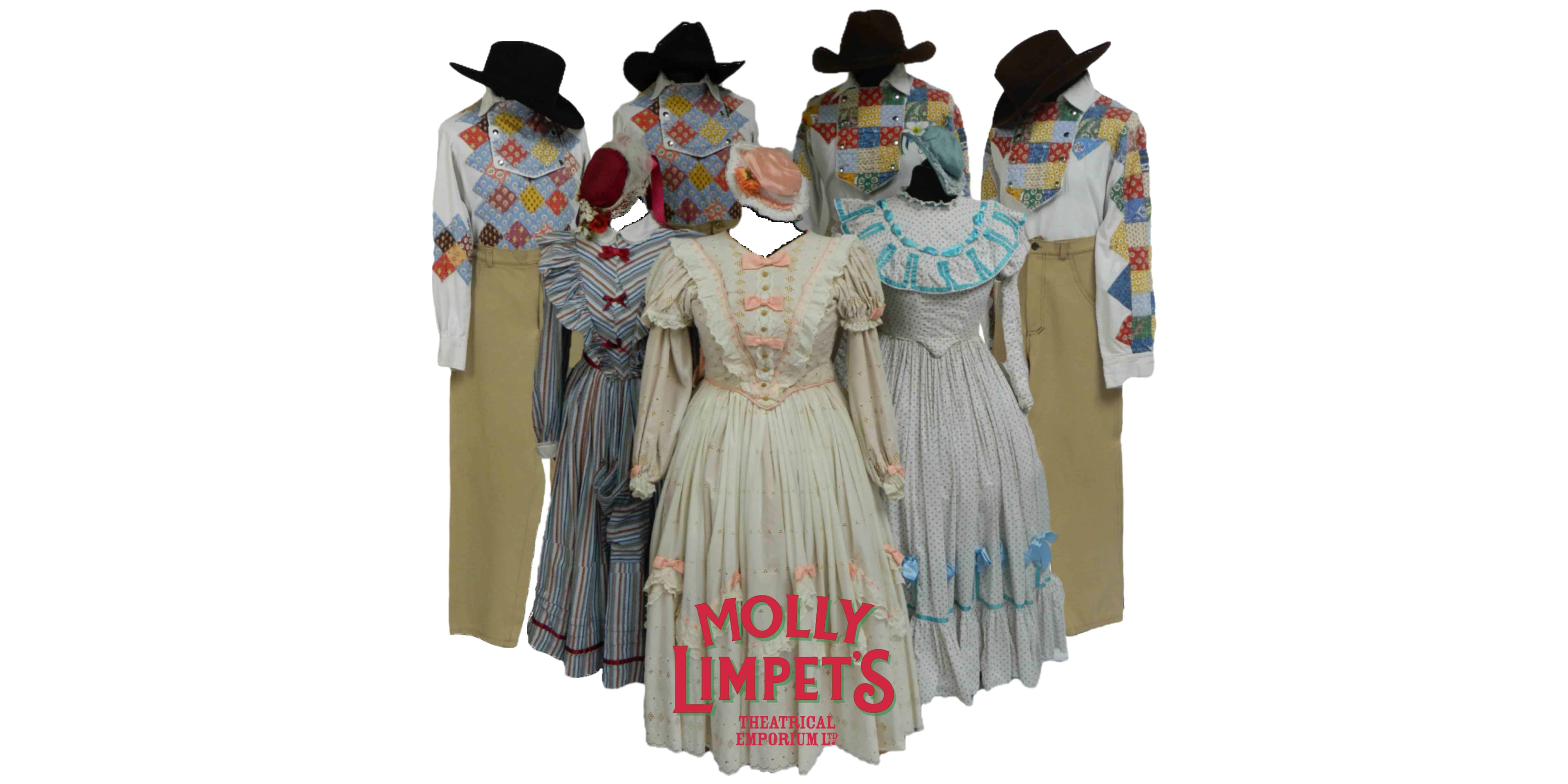 seven brides brothers theatrical costume rental