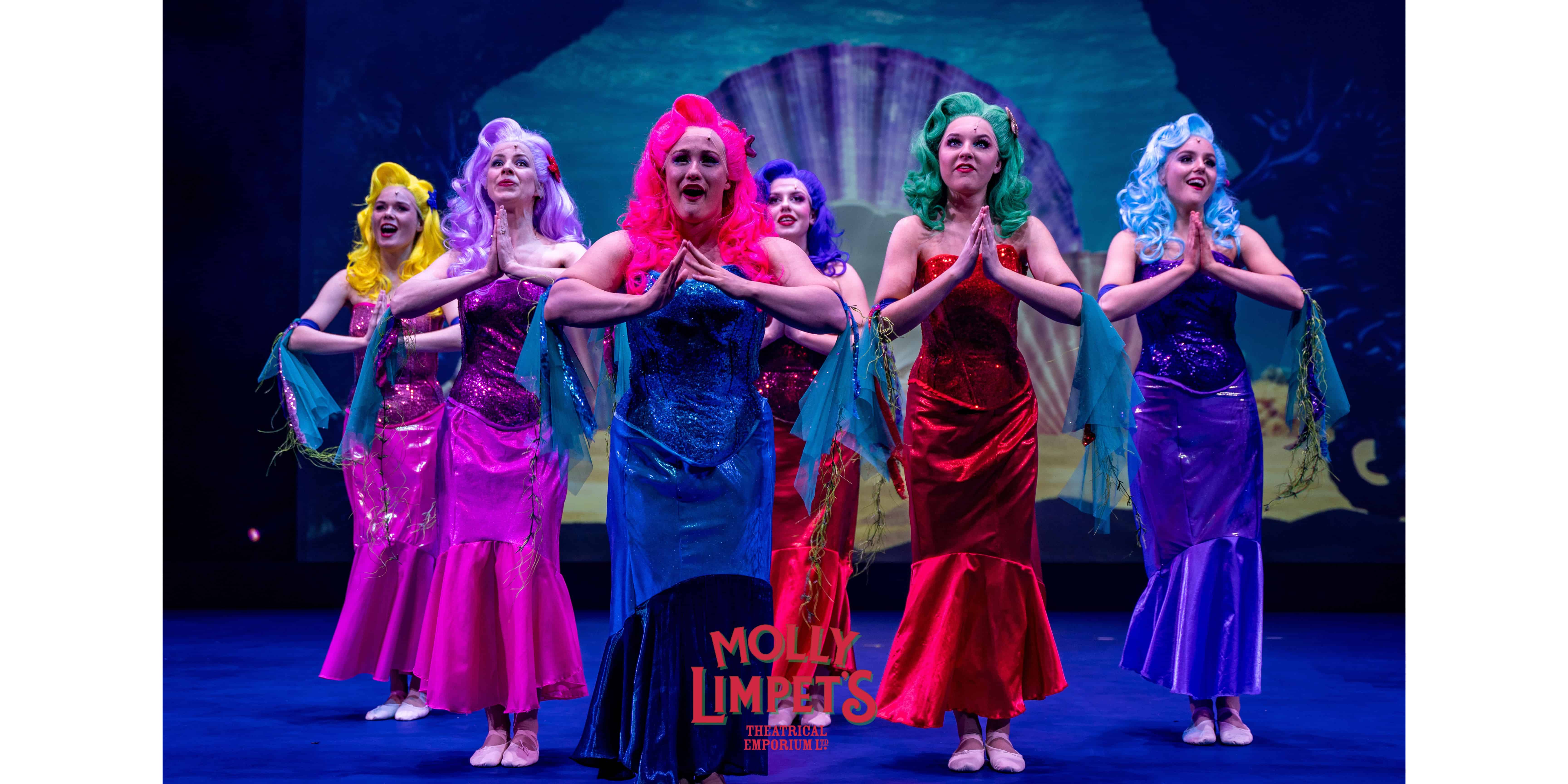 little mermaid ariel and sebastian theatre costume hire