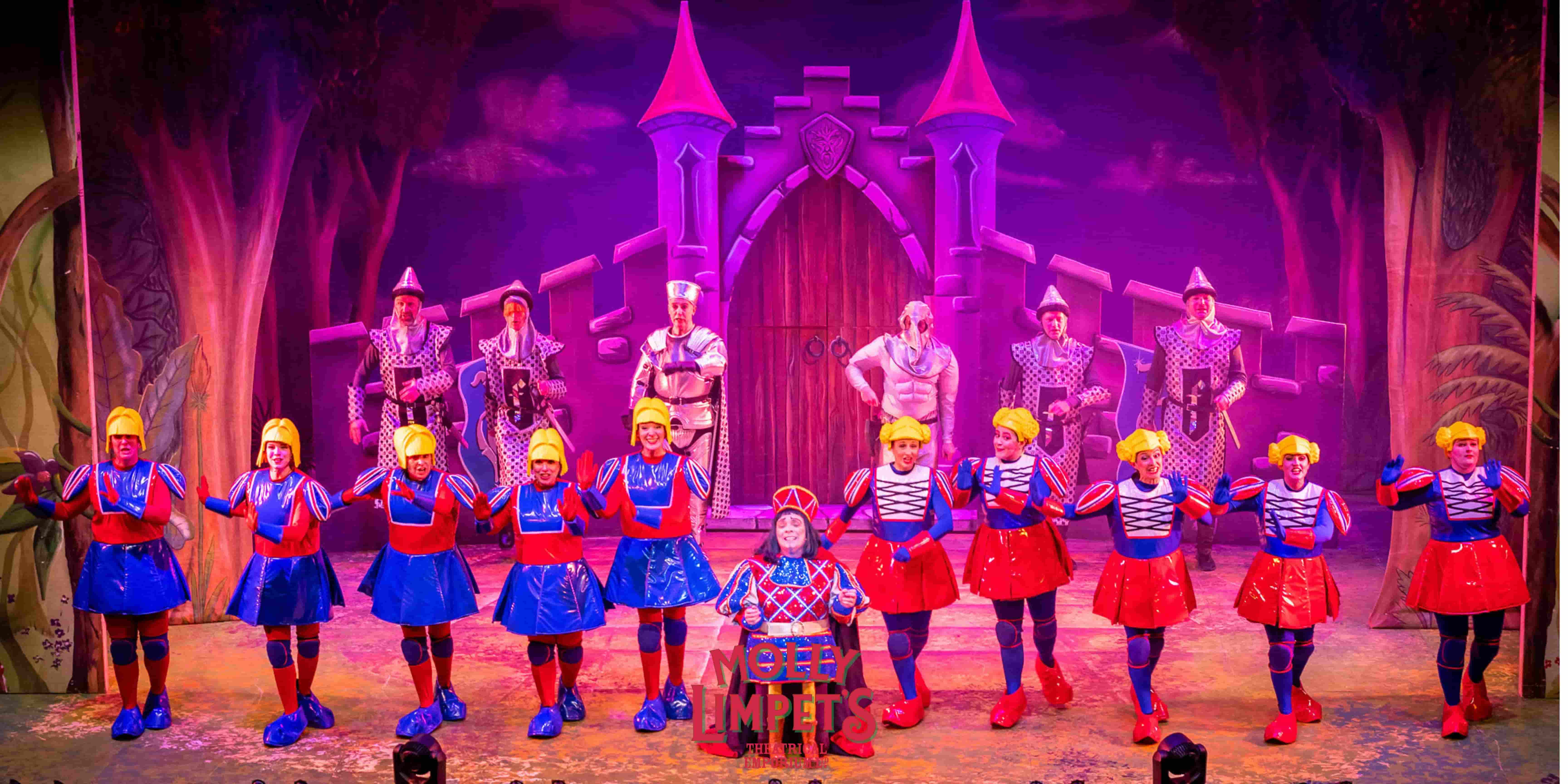 princess fiona and lord faarquard stage costume hire