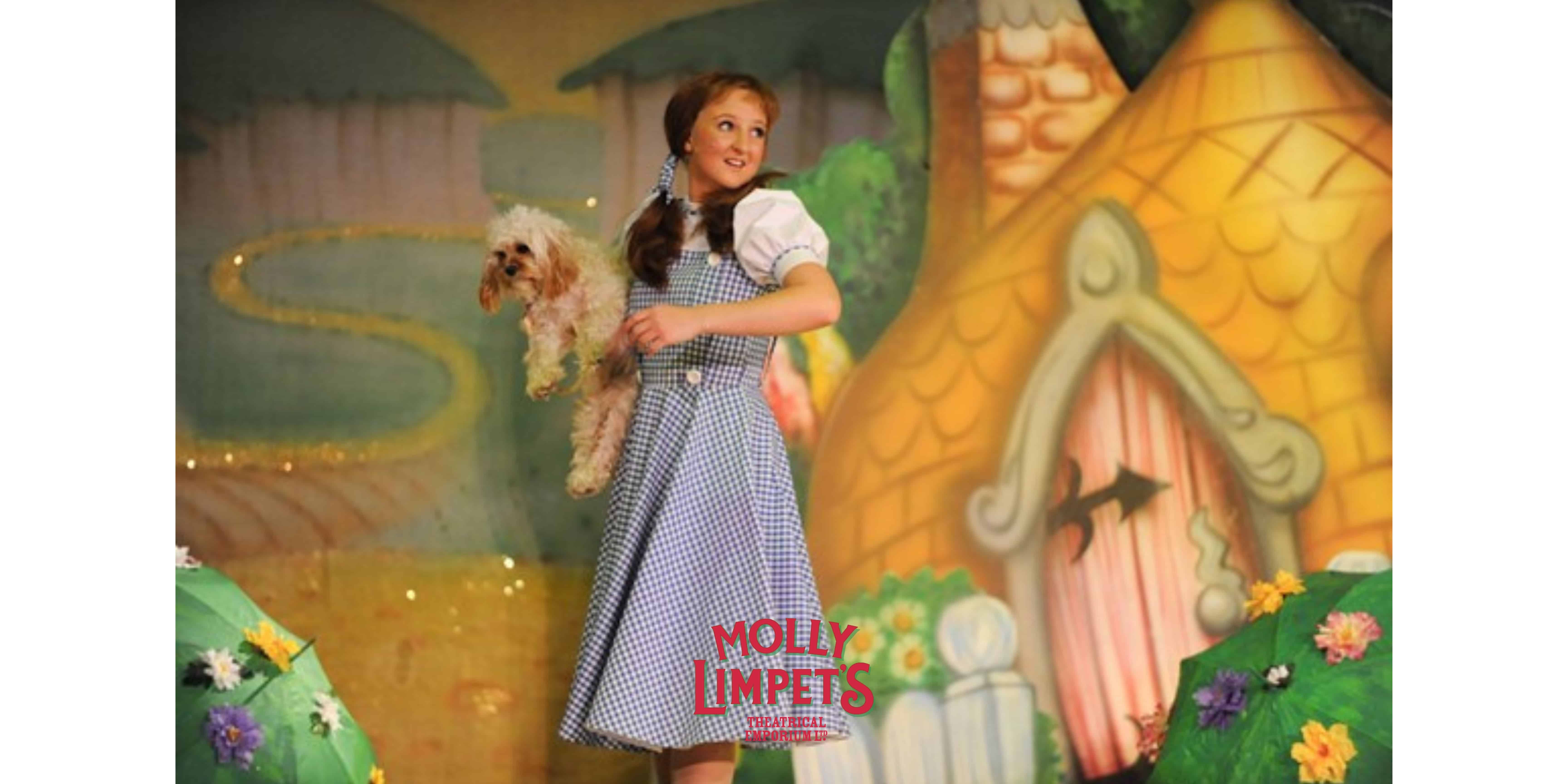 merry old land of oz and glinda theatrical costumes