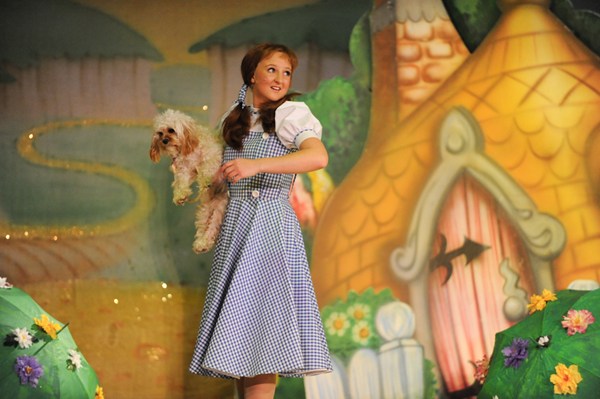 merry old land of oz and glinda theatrical costumes
