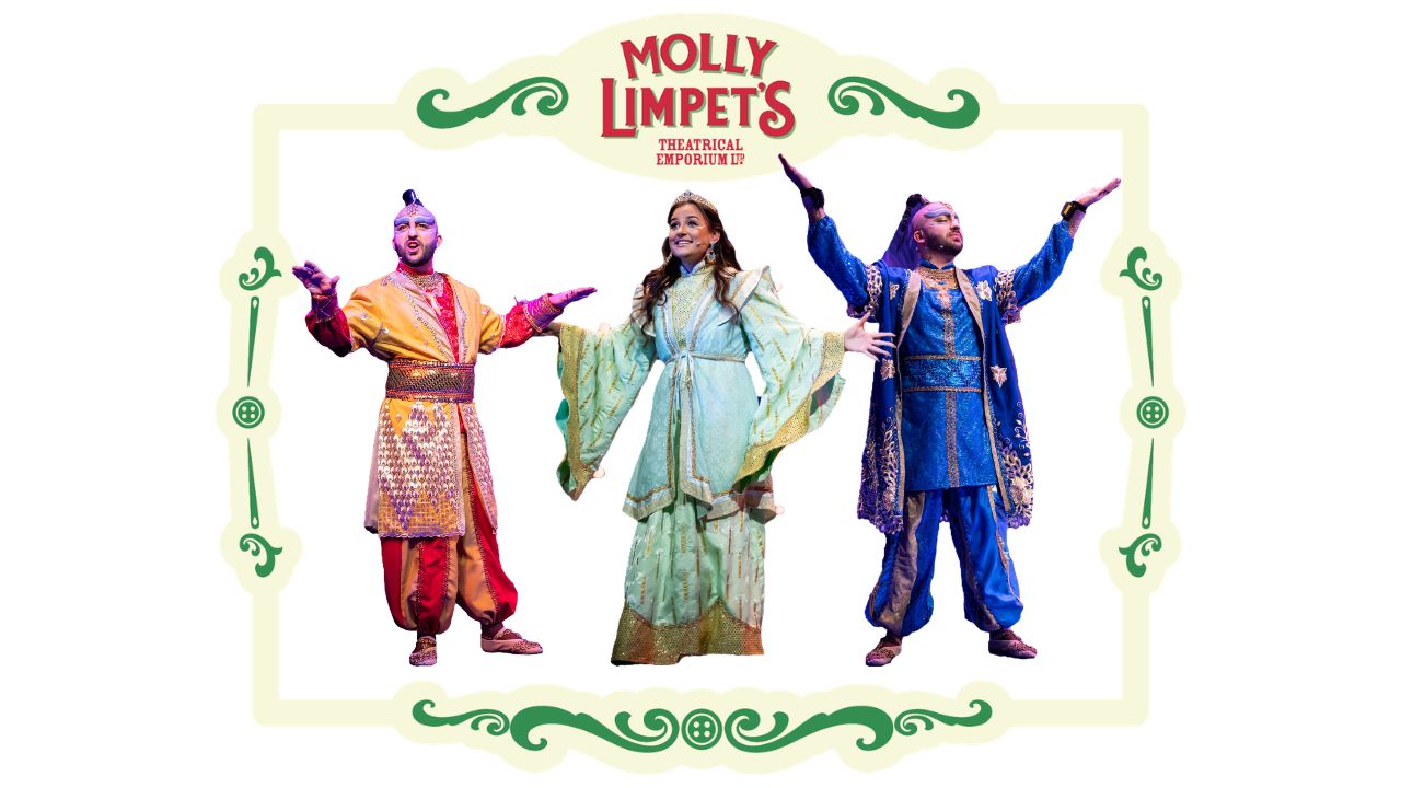 widow twankey costume hire