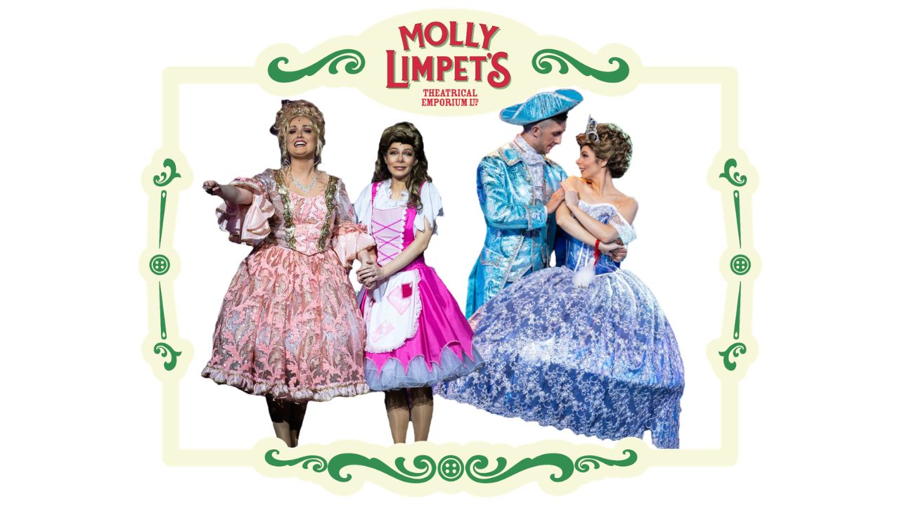 cinderella deluxe pantomime costmumes for hire