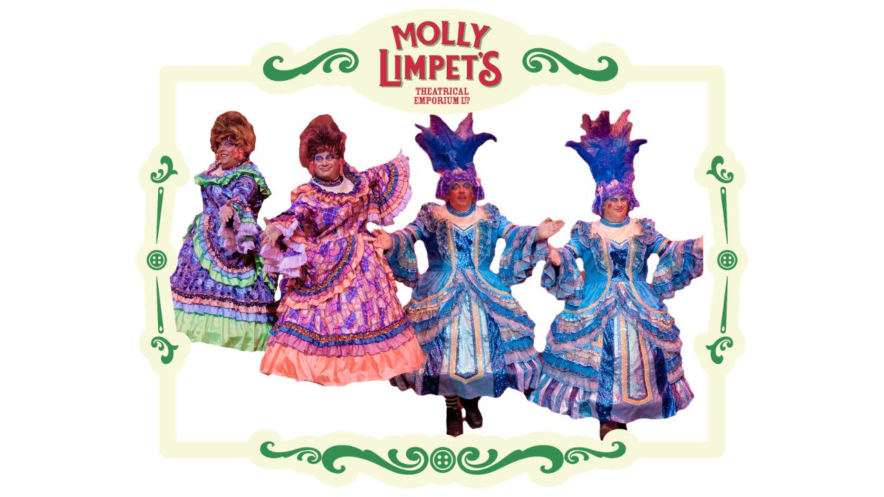 ugly sister costumes for hire