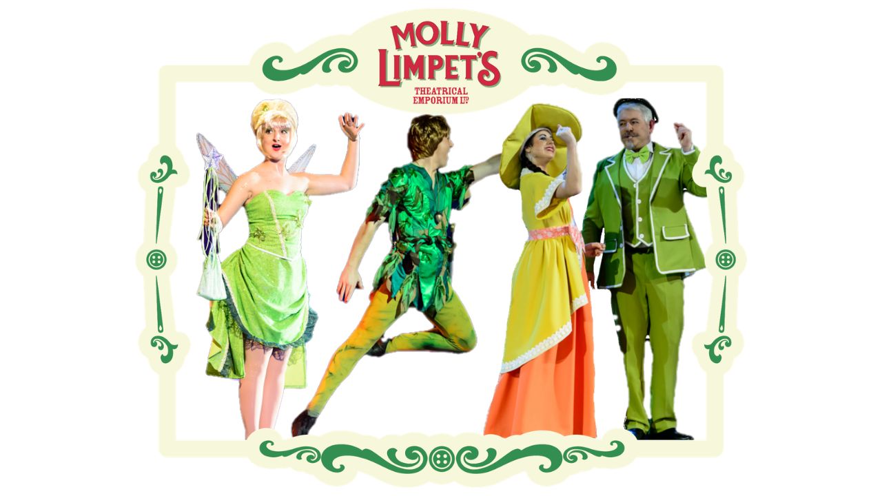 pan and wendy costumes for hire