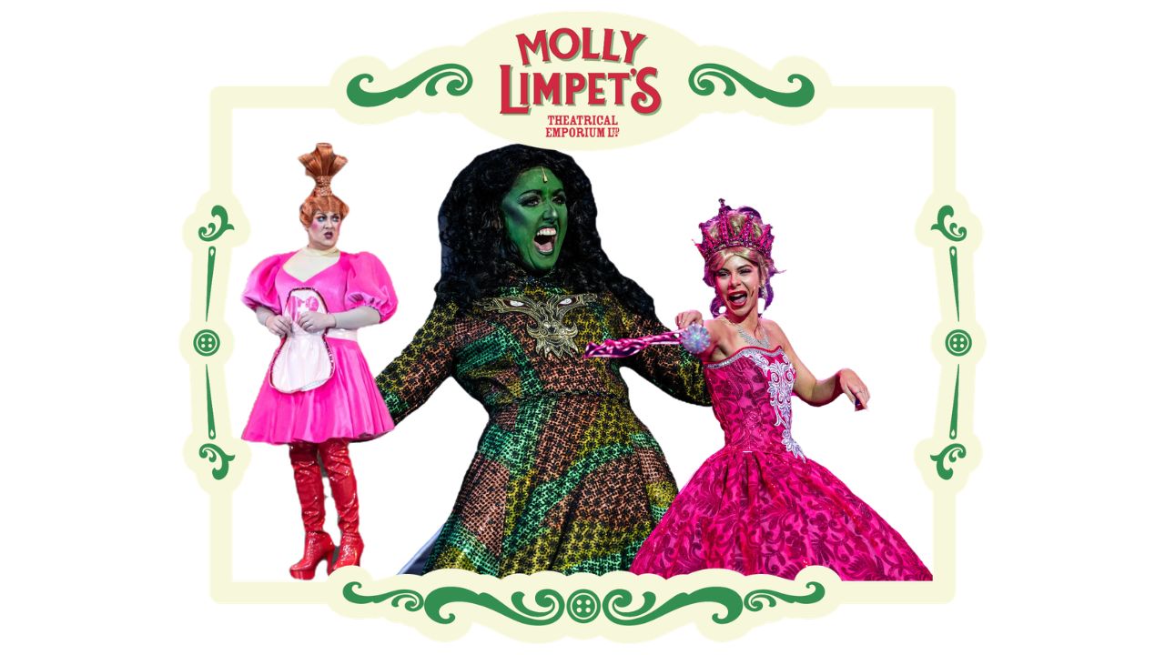 panto hire costumes for productions of sleeping beauty