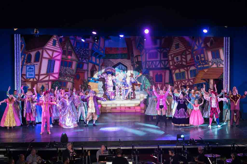purple and gold panto costumes
