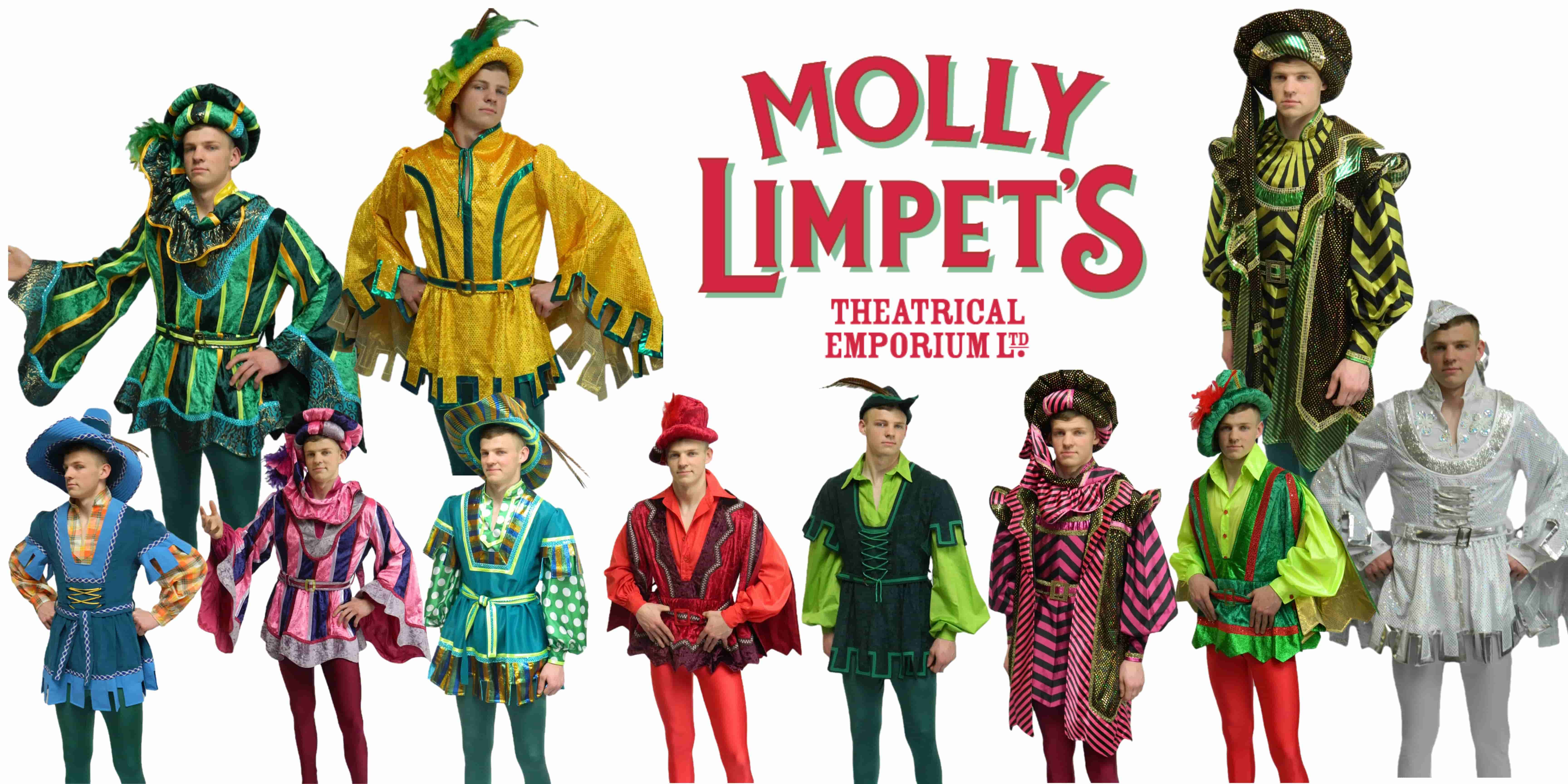 maid marian panto costume hire